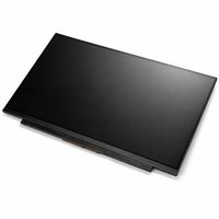 Original Display für ASUS - 18010-14042400 - IPS FHD (1920x1080) matt 60Hz