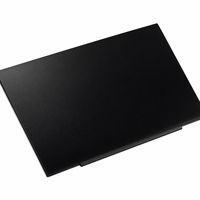 Original Display für LENOVO - 5D11B01099 - TN HD+ (1600x900) matt 60Hz