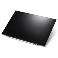 Original Display für ASUS - 18010-16030600 - IPS WUXGA (1920x1200) matt 60Hz