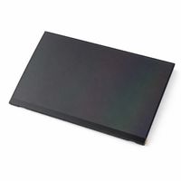 Original Display für LENOVO - 5D11F50177 - IPS (1920x1200) matt 165Hz