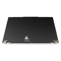 Original Acer Displayeinheit - 6M.DJBNI.001 - 16 Zoll WUXGA (1920x1200) silber