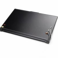 Original Lenovo IPS Displayeinheit - 5M11P71963 - 16 Zoll WUXGA (1920x1200) matt schwarz