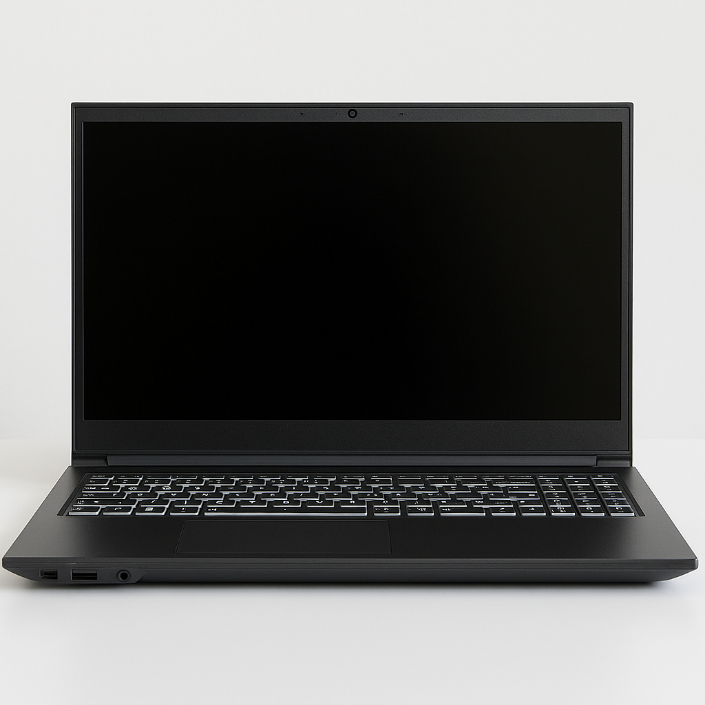 Sager Notebook - NP3000 Serie - NP3541U (V540TU1)