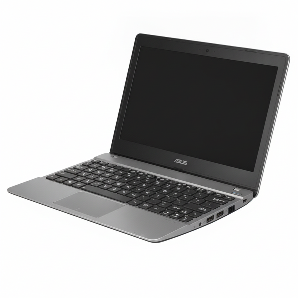 Asus - Notebook - F102BA